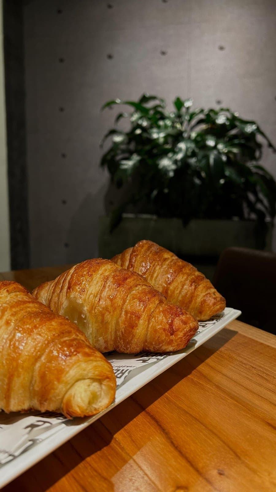 Croissants recien horneados en Cabrera Coffee Brew House, Via Argentina, El Cangrejo, Ciudad de Panama
