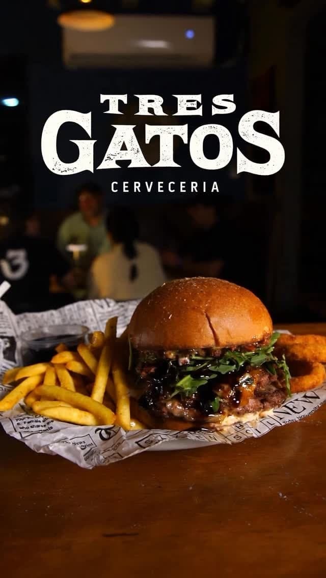 Burger with fries at Cerveceria Tres Gatos, Clayton, Panama City
