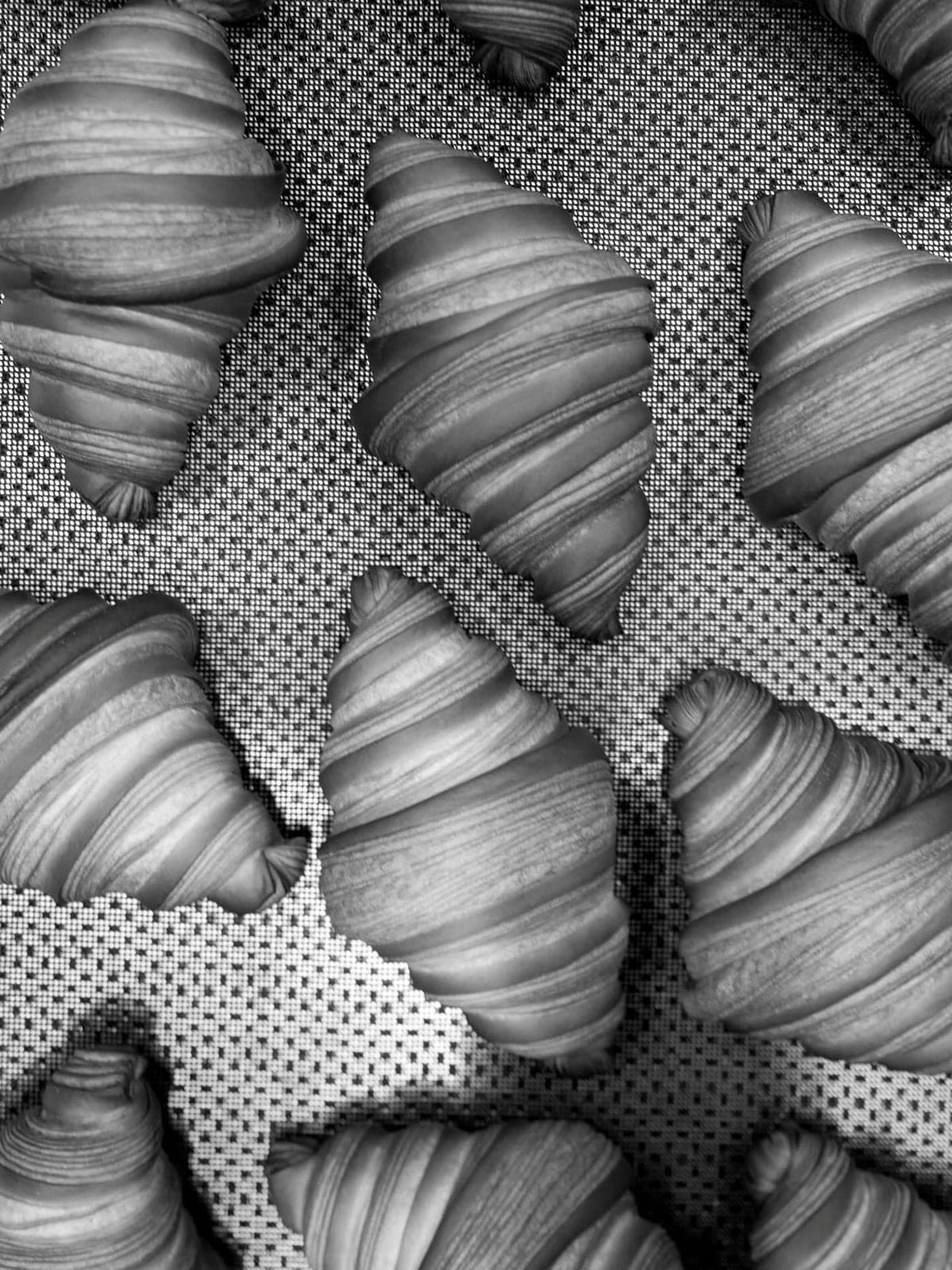 Freshly laminated croissants at Con Olor a Pan, Costa del Este, Panama City