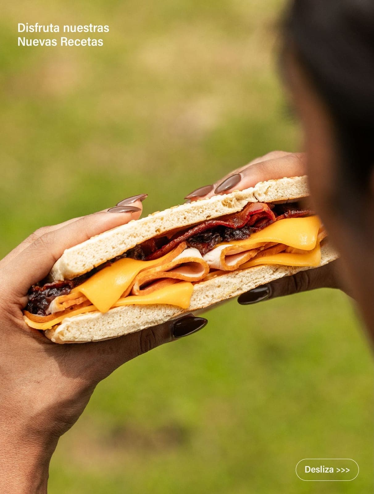 Loaded deli sandwich with turkey, ham, cheddar and bacon at Grand Deli Gourmet, Casco Antiguo, Panama City
