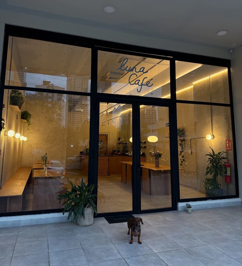 Black steel-framed glass and the hand-lettered logo mark the entrance - warm light, potted greenery, and the resident dachshund on door duty.