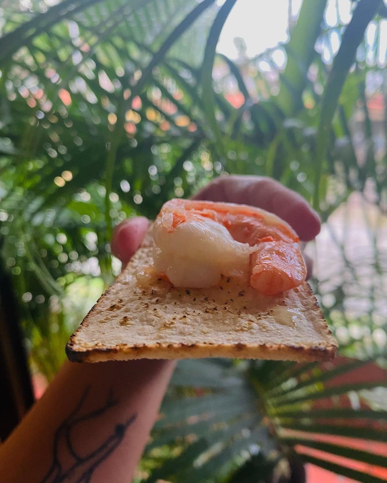 Prawn ceviche at Olivares Seafood, Mercado de Mariscos, Panama City