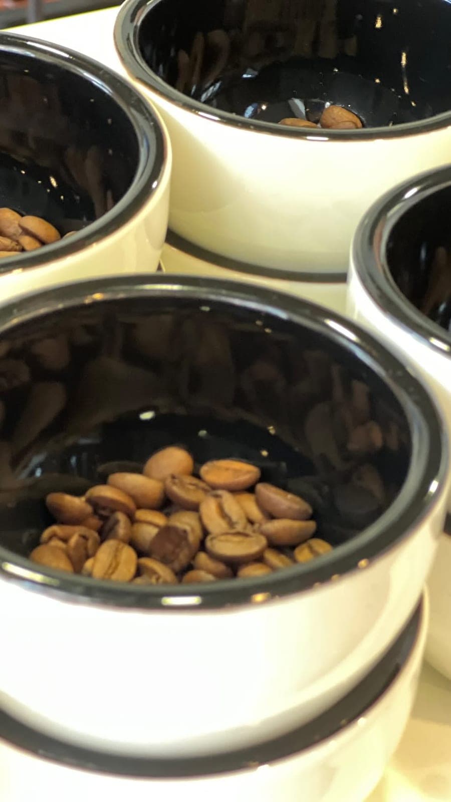 Coffee tasting bowls at Panama Crafted Experience, Casco Viejo, Panama City